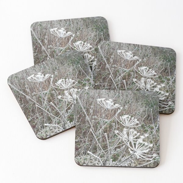 Item preview, Frosted cow parsley designed and sold by esvb.