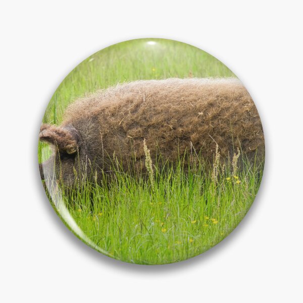 Item preview, Mangalica Pig Grazing in Summer Grass designed and sold by Dorset Girl.