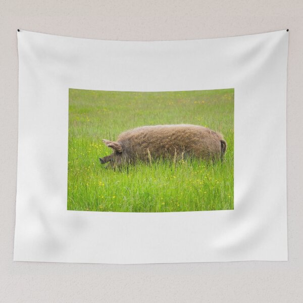 Item preview, Mangalica Pig Grazing in Summer Grass designed and sold by Dorset Girl.