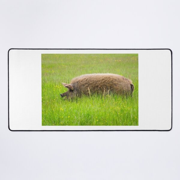 Item preview, Mangalica Pig Grazing in Summer Grass designed and sold by Dorset Girl.