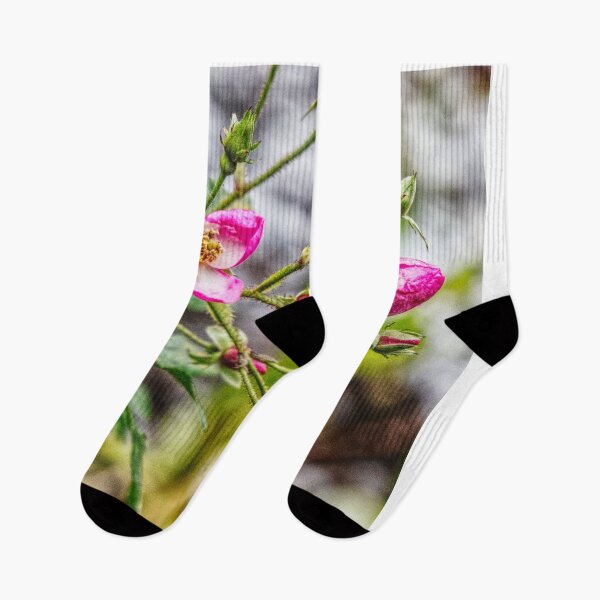 Item preview, Miniature Rose Bush in winter Bloom  designed and sold by jalfc46.