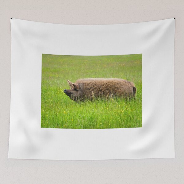 Item preview, Mangalica Pig Enjoying the Summer Grass designed and sold by Dorset Girl.