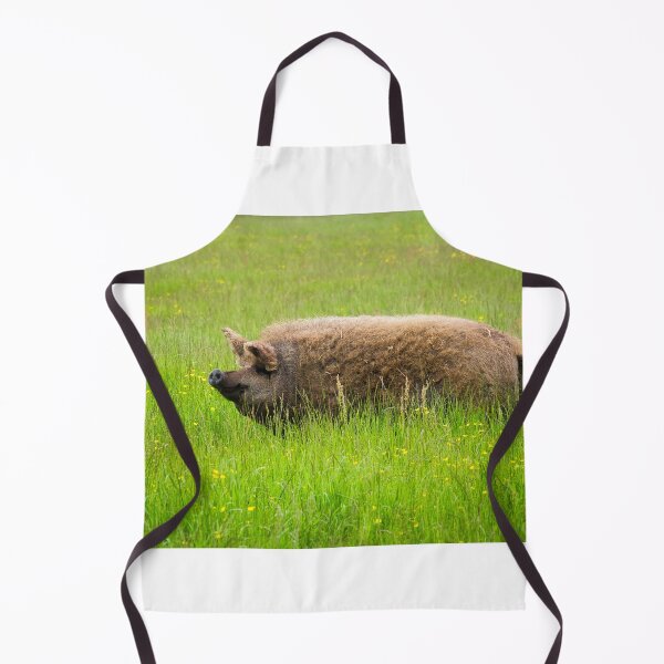Item preview, Mangalica Pig Enjoying the Summer Grass designed and sold by Dorset Girl.