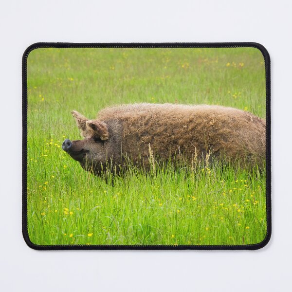 Item preview, Mangalica Pig Enjoying the Summer Grass designed and sold by Dorset Girl.
