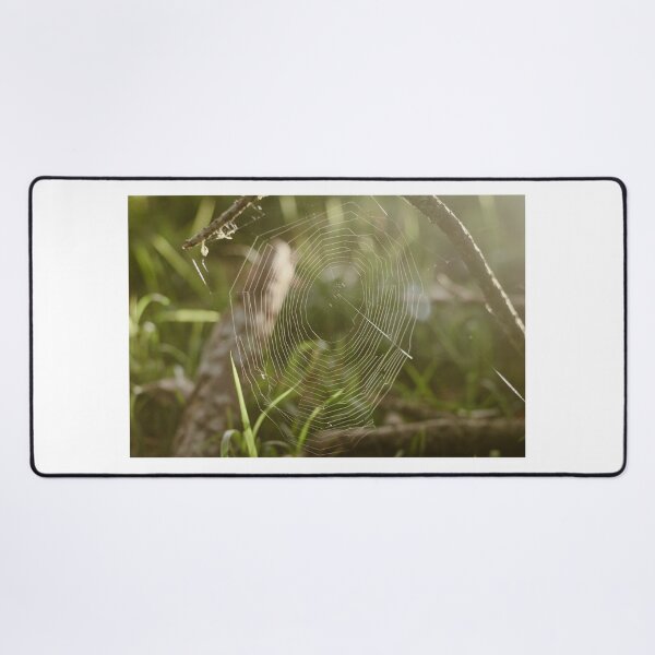 Item preview, Spider Web In The Sunlight designed and sold by JayrosParker.