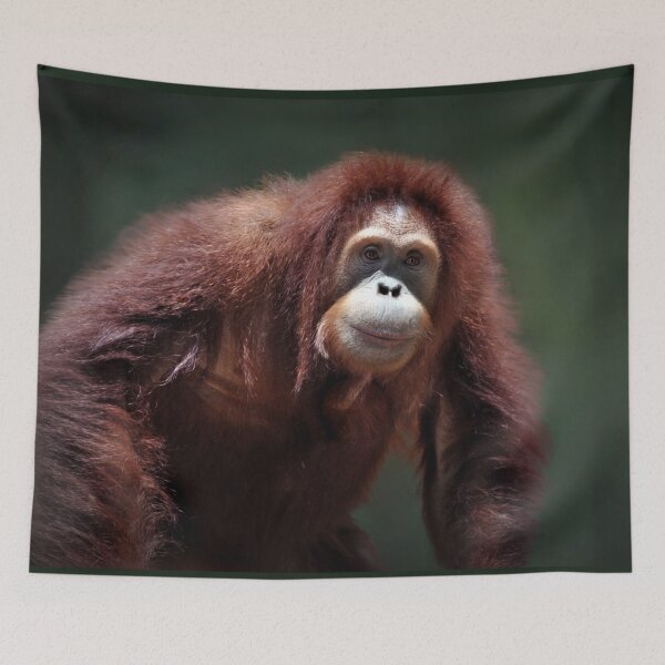 Item preview, Indah designed and sold by Savannah Gibbs.
