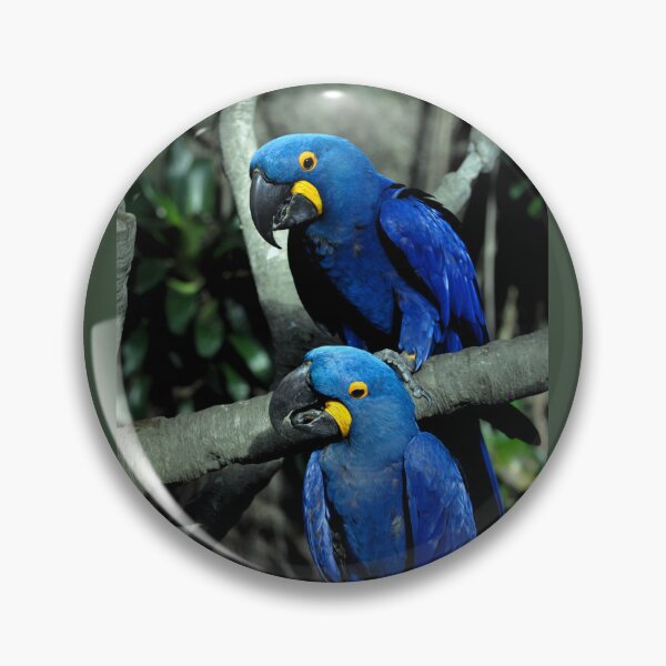 Item preview, Hyacinth Macaws Anodorhynchus designed and sold by Savannah Gibbs.