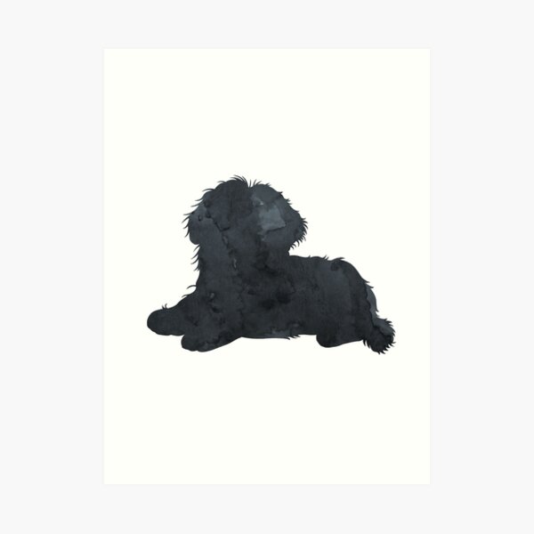 Bichon Frise Black Art Minimalist Dog Silhouette Art Print for Sale by  BittenByErmines