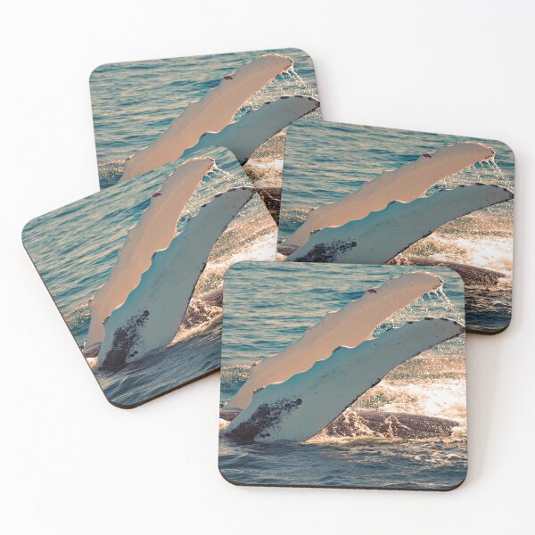 Item preview, A Humpback Named Nile: Pectoral Slapping designed and sold by Infinite-Moon.