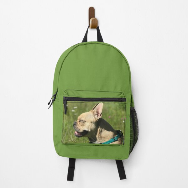 Item preview, Basking French Bulldog designed and sold by stephip26.