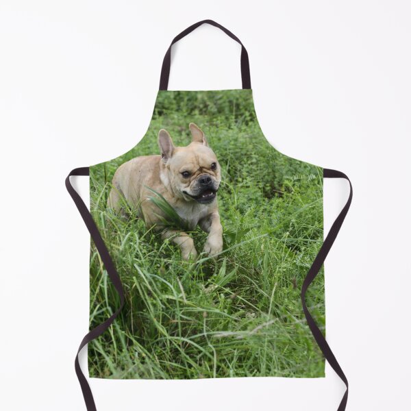 Item preview, frolicking frenchie designed and sold by stephip26.