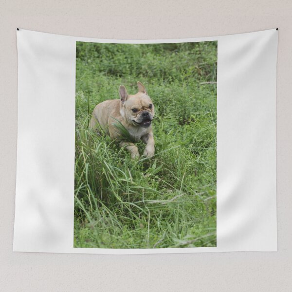 Item preview, frolicking frenchie designed and sold by stephip26.