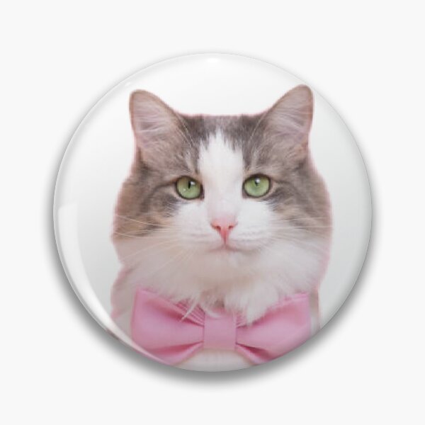 Item preview, Cat pack designed and sold by MilicaaD.