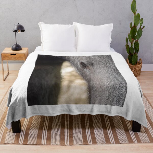 Item preview, Giant Anteater designed and sold by Sharon the Zoo Lady Photography .