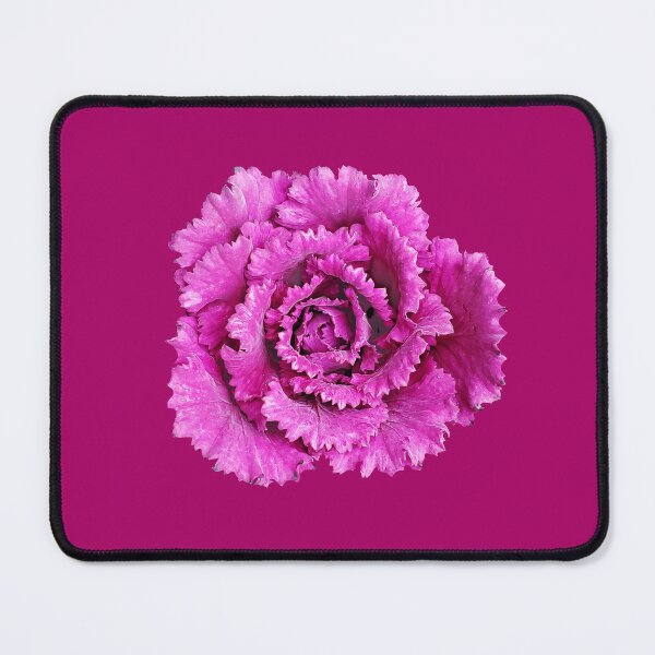 Item preview, Flowering kale  designed and sold by annasofia.