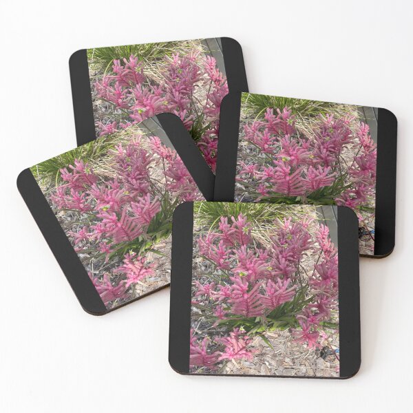 Item preview, Kangaroo Paw in Pretty Pink designed and sold by KazM.