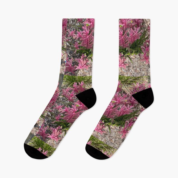 Item preview, Kangaroo Paw in Pretty Pink designed and sold by KazM.