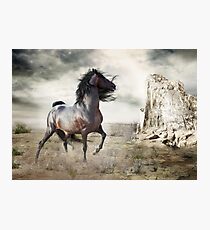 Silverado Fotodruck
