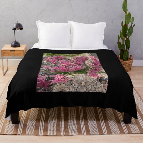 Item preview, Kangaroo Paw in Pretty Pink designed and sold by KazM.