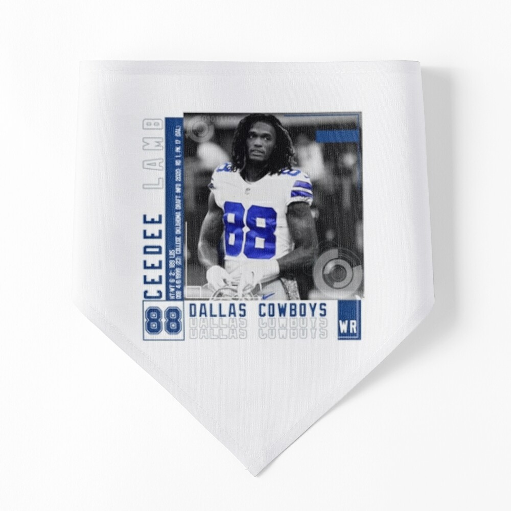 Dallas Cowboys Super Bowl Hardware Tapestry