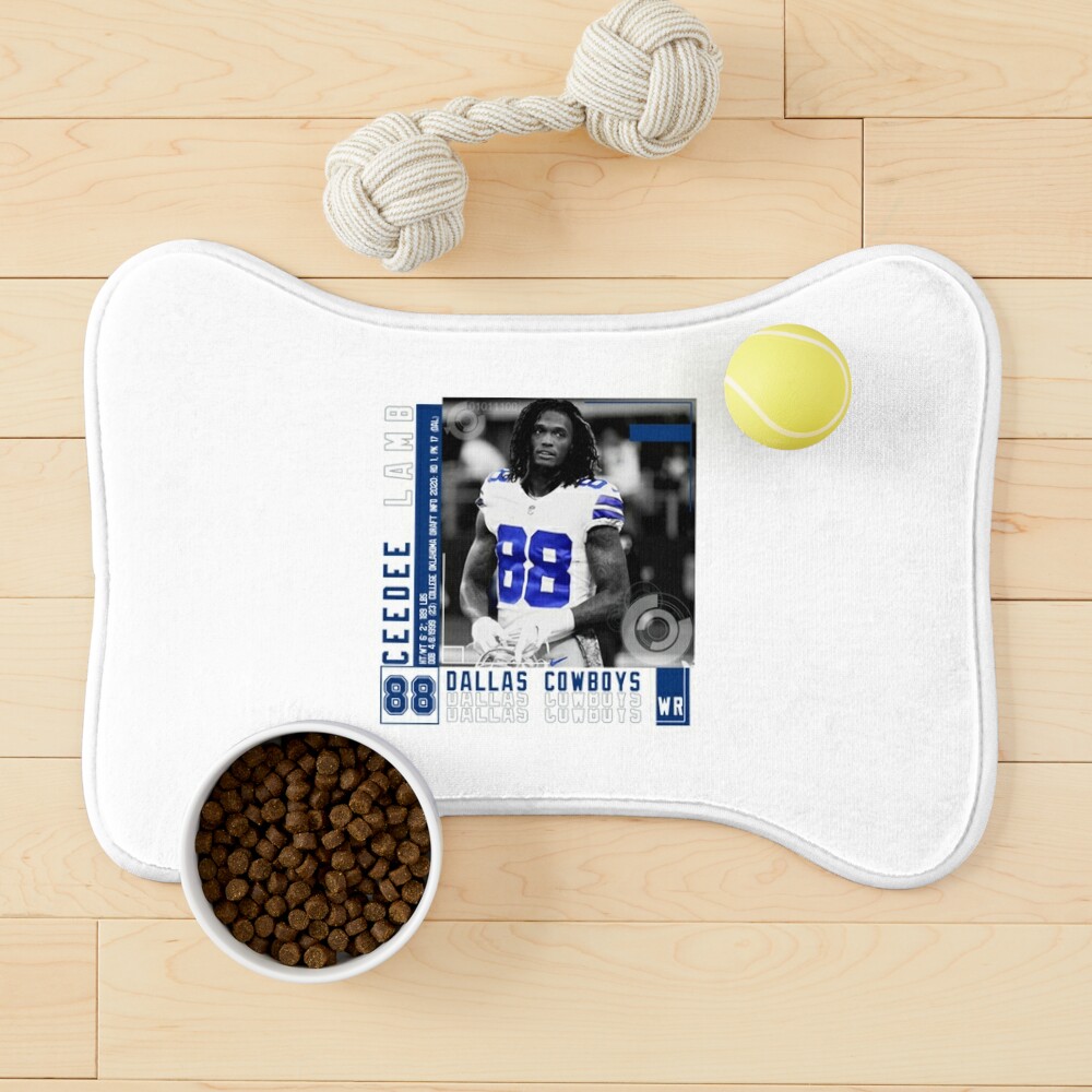 Dallas Cowboys Dog Bone Sign