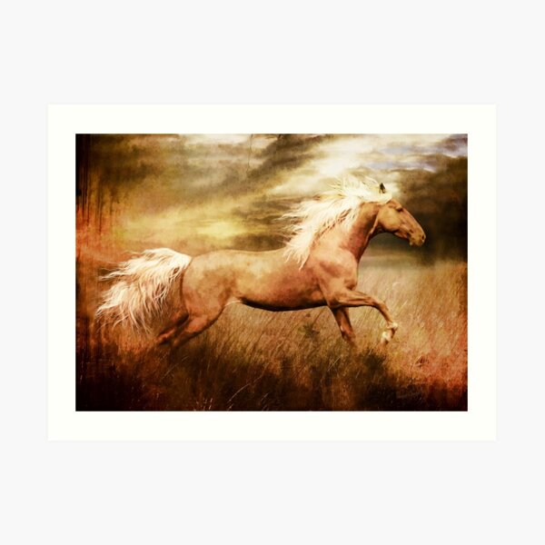 Fleet Palamino Horse Art Print