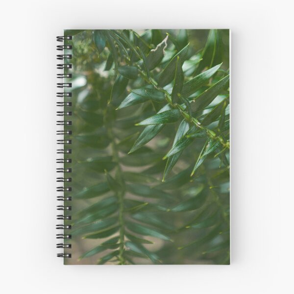 Item preview, pine tree dark green branch with sharp needle closeup designed and sold by Nupu.