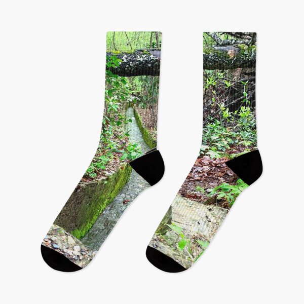Item preview, Nature Walk in Hot Springs, Arkansas  designed and sold by Seeding Serendipity.
