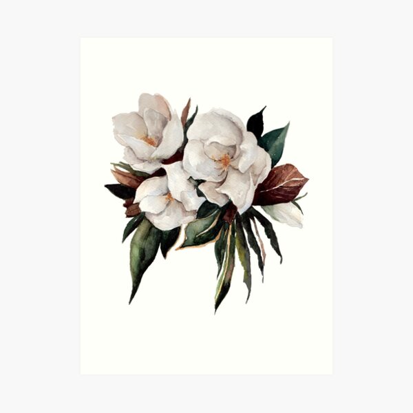Magnolia Art Print