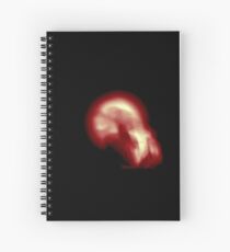 Chameleon Song Artwork Spiral Notebook