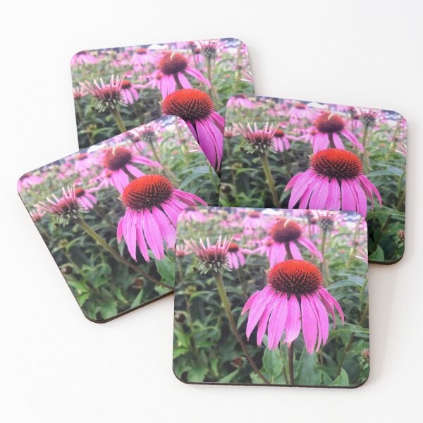 Item preview, Purple Coneflowers designed and sold by emikat-art.