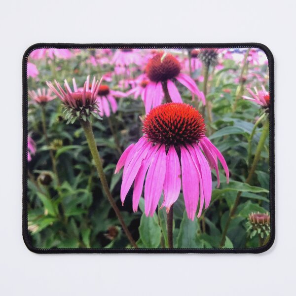 Item preview, Purple Coneflowers designed and sold by emikat-art.