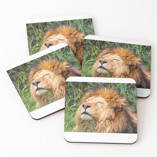 Item preview, Lion Sleeping In The Sun designed and sold by TheAnimalZ00.