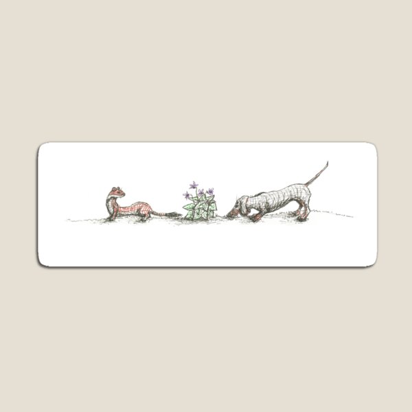 Dachshund, Weasel, and Violets, illustration Magnet
