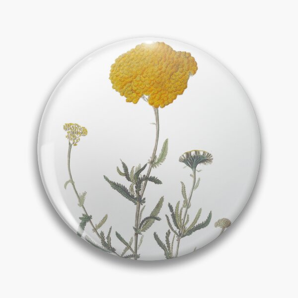 Item preview, Botanical Art Golden Yarrow Flower designed and sold by MochaMeli.