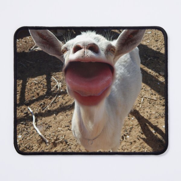 Item preview, Say Ahh funny goat sticking out its tongue  designed and sold by Stephanie  Skeem.