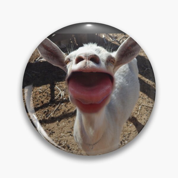 Item preview, Say Ahh funny goat sticking out its tongue  designed and sold by Stephanie  Skeem.