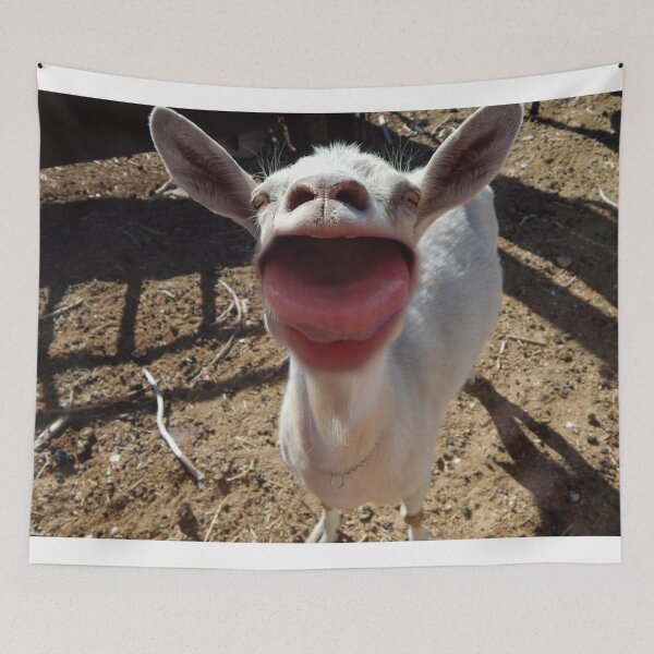 Item preview, Say Ahh funny goat sticking out its tongue  designed and sold by Stephanie  Skeem.
