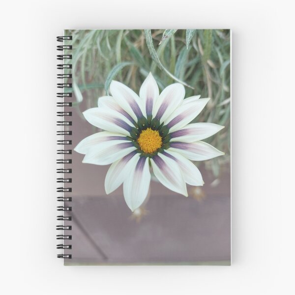 Item preview, White Purple Gazania designed and sold by sereneL.