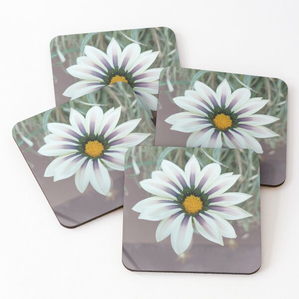 Item preview, White Purple Gazania designed and sold by sereneL.