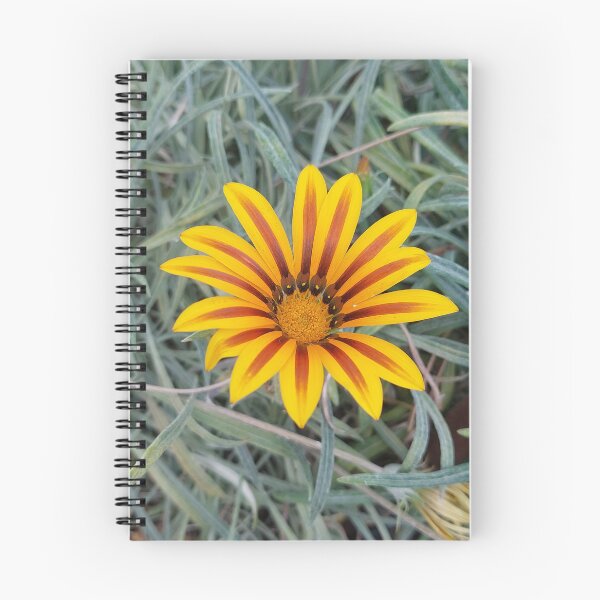 Item preview, Yellow Red Gazania designed and sold by sereneL.