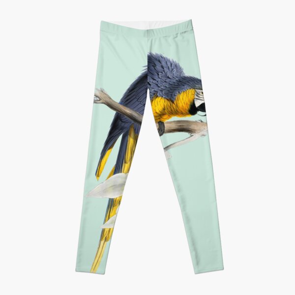 Papagei - illustration by Edward Lear Leggings