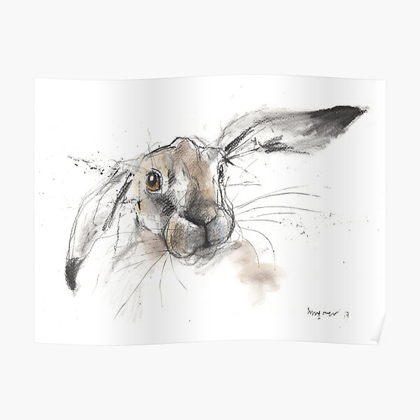 Poster Kaninchen Redbubble