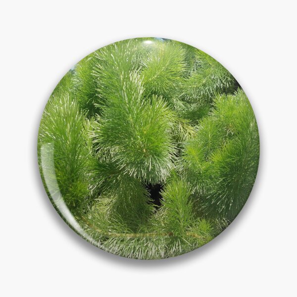 Item preview, Foliage 3 designed and sold by sereneL.