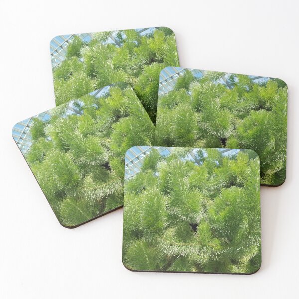 Item preview, Foliage 3 designed and sold by sereneL.