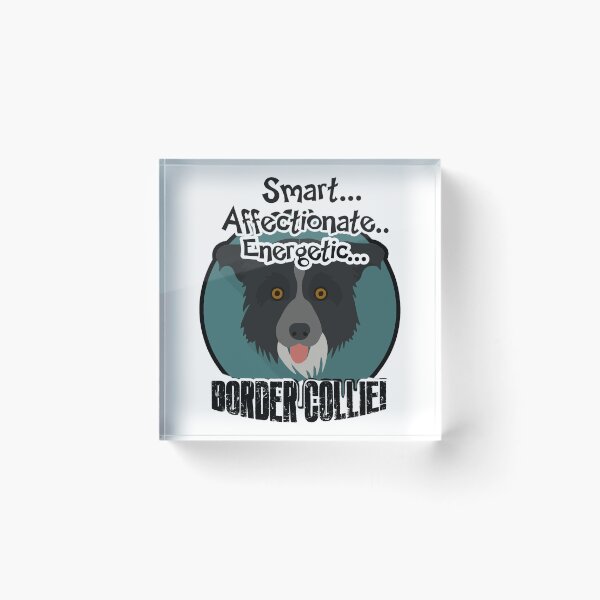 Item preview, Smart Affectionate Energetic Border Collie designed and sold by UnknownArtistt.