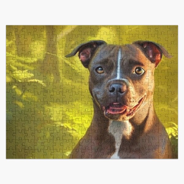 Staffordshire Bull Terrier Dog Staffy - Jigsaw Puzzle