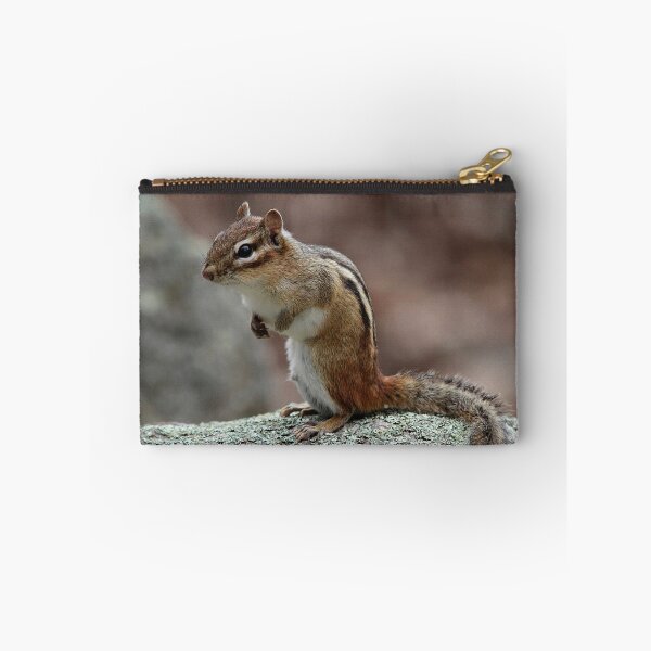 Item preview, Chipmunk sitting up designed and sold by Linda Crockett.