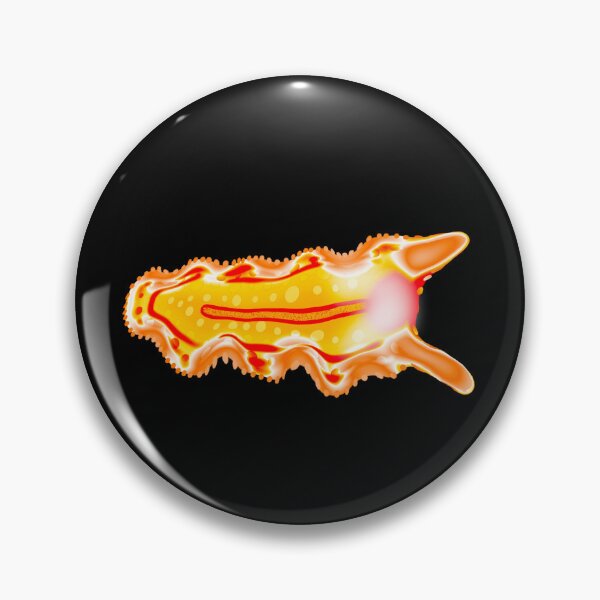 Item preview, Sea creature, Turbellaria, black background designed and sold by Osher-BioArt.