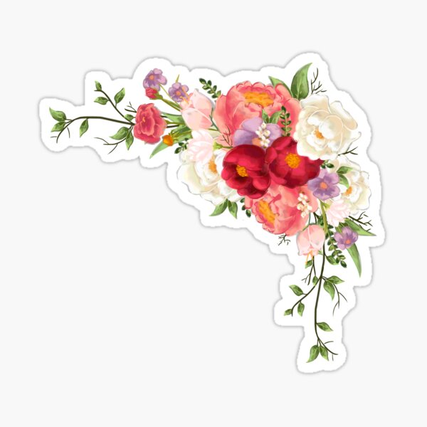 CORNERS Watercolor Flowers PAISLEY'S Rose Garden Wall Decals